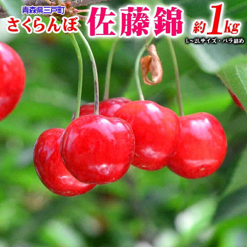 【ふるさと納税】さくらんぼ【佐藤錦】 約1kg（L〜2Lサイズ）バラ詰め【2025年産・先行予約】★2025年6月中旬〜7月上旬頃にかけて順次発送予定★