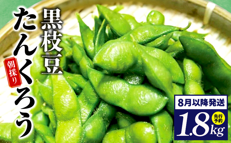 【畑から直送 朝採り】黒枝豆 1.8kg 【新鮮 野菜 泉佐野産 えだまめ やさい TONOファーム 高評価 数量限定 先行予約】