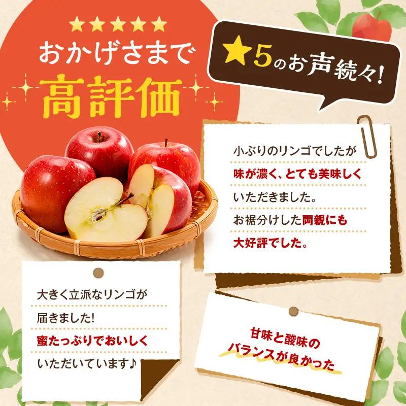 りんご サンふじ 小玉 約10kg 林檎 リンゴ