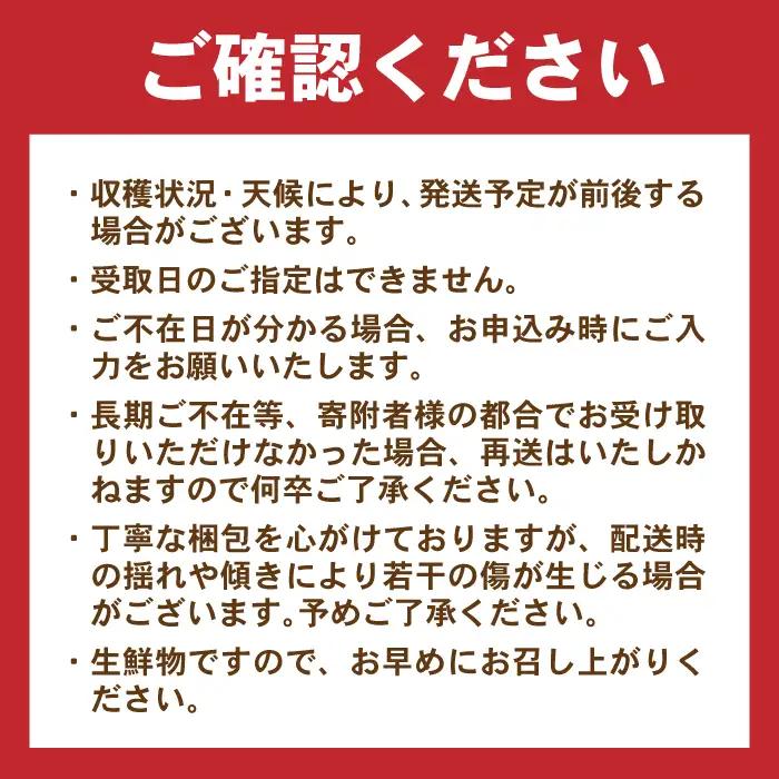 月2回お届け【12回定期便】諫早産 野菜の詰め合わせ 8・9品目程度 / 季節 旬 野菜 やさい 春野菜 夏野菜 秋野菜 野菜セット 詰め合わせ 野菜定期 野菜定期便 定期便 / 諫早市 / 肥前グロ