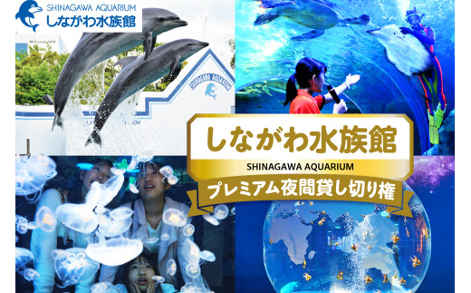 しながわ水族館プレミアム夜間貸し切り権