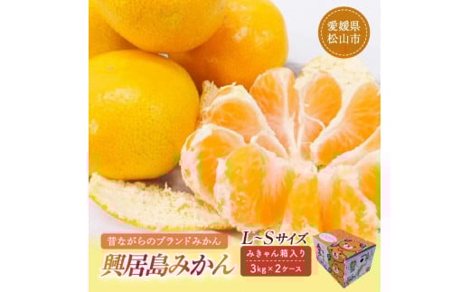 【2025年11月下旬頃より順次発送】興居島みかん 約6kg（L〜Sサイズ） 愛媛 みかん 柑橘 興居島 ごごしま ブランド  みかん 蜜柑 柑橘  フルーツ 愛媛県 松山市