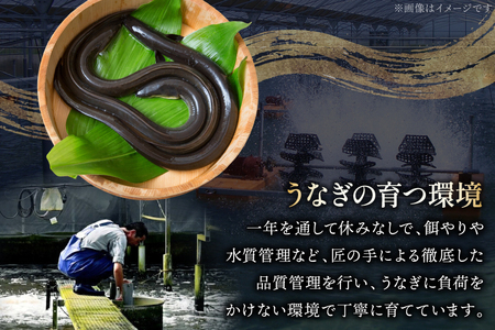 うなぎ 国産 蒲焼 4尾 計720g 以上 うなぎ