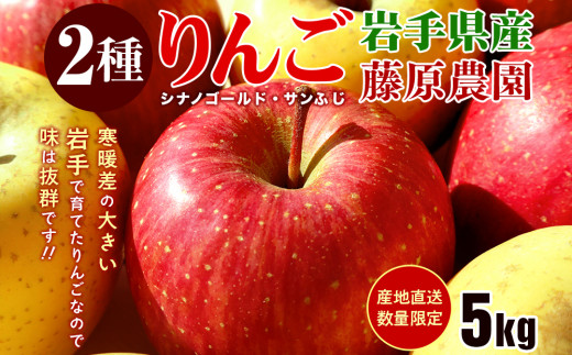 【先行予約】 りんご サンふじ シナノゴールド 計5kg 14~20玉 季節限定 ミックス リンゴ 林檎 産地直送 新鮮 アップル くだもの 果物 フルーツ ふじ しなの 旬 今が旬 盛岡りんご 旬のりんご 甘い あまい 果実 秋 冬 特産 岩手県 盛岡市 岩手 盛岡 藤原農園 有限会社トゥレイス treis005