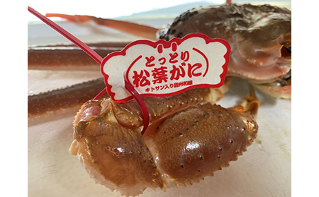 【22027】鳥取網代港【ブランドタグ付】浜茹で！極上松葉ガニ（中）700g※お届けは2026年11月中旬～【さかなや新鮮組】