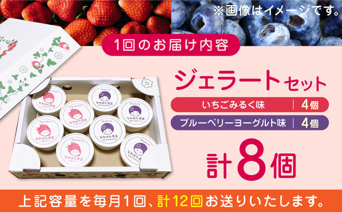 【限定数量】【全12回定期便】熊本県産 いちご ブルーベリー ジェラートセット 計8個 ( 2種 × 各4個 ) アイス カップ 熊本 山都町 冷凍【なかはた農園】[YBI044]
