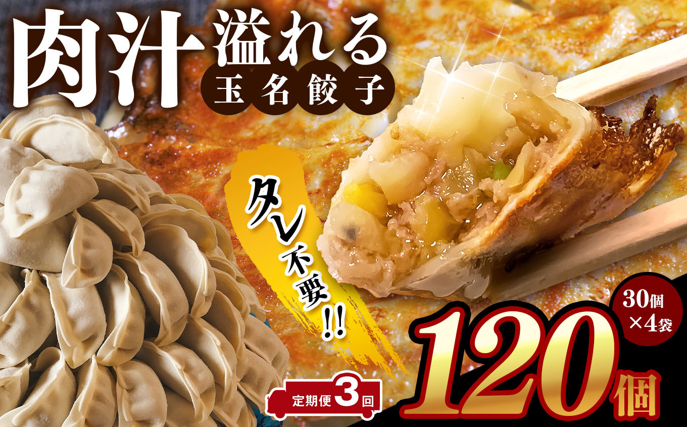 
【 定期便 3回 】タレ不要‼ 肉汁 溢れる『 玉名餃子 』 120個 （30個×4袋）| 餃子 ぎょうざ お手軽 小分け 冷凍 冷凍食品 おかず 豚肉
