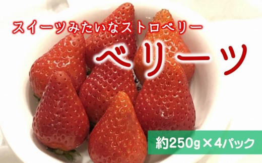 
                  【2027年2月中旬より順次発送】ベリーツ（250g×4パック）
                