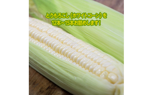 もろこしはこれだっぺセット！とうもろこし（ホワイトコ