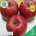 【ふるさと納税】 りんご サンふじ 特選 3kg やまじゅうファーム 沖縄県への配送不可 令和6年度収穫分 信州の環境にやさしい農産物 減農薬栽培 長野県 飯綱町 【 信州 果物 フルーツ リンゴ 林檎 長野 】発送時期：2024年12月上旬～2024年12月中旬{***}