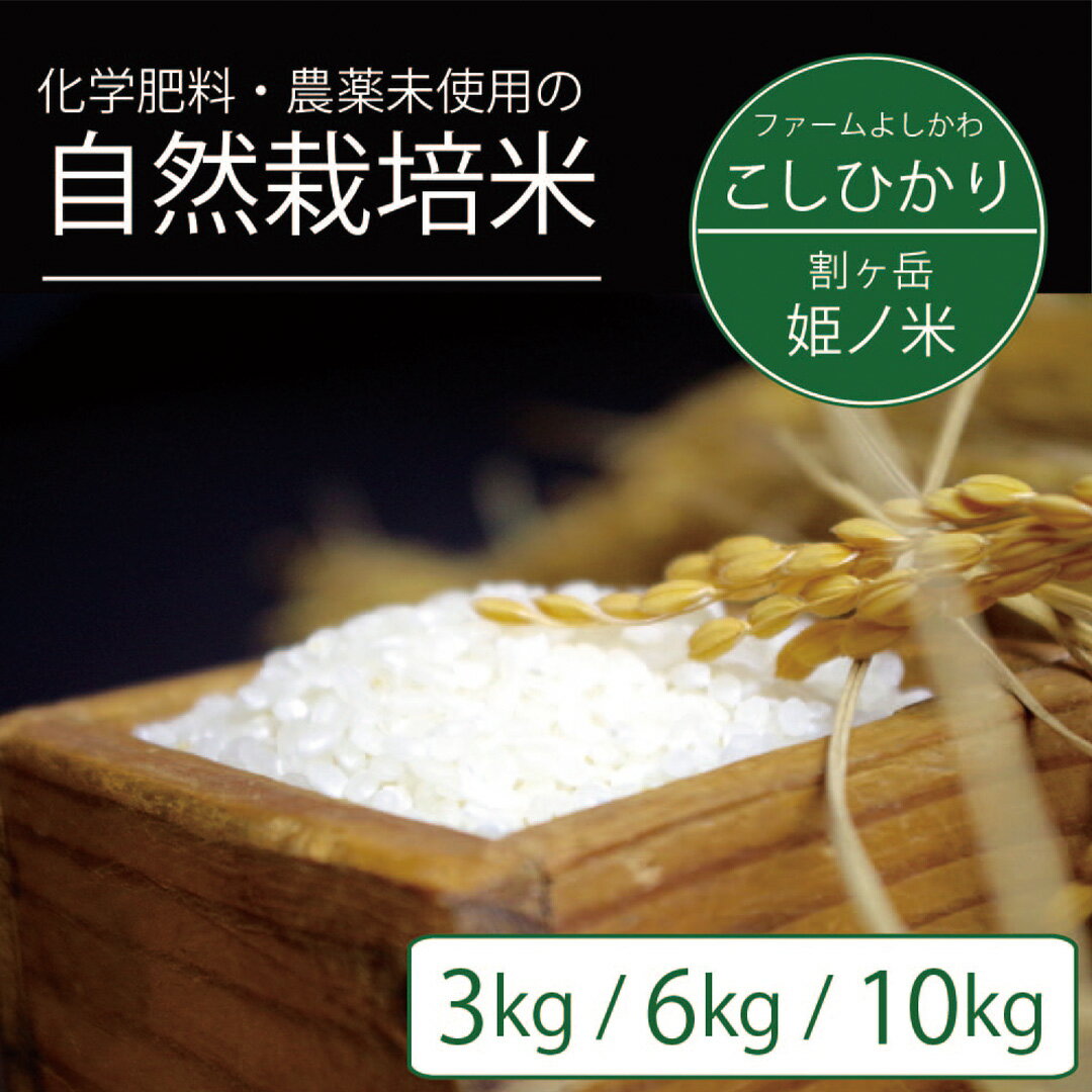 【ふるさと納税】2025年収穫分、予約開始！自然栽培コシヒカリ「割ケ岳 姫乃米」信濃町精米 令和7年秋出荷 3kg（3kg×1袋）、6kg（3kg×2袋）、10kg（5kg×2袋）令和7年秋出荷【長野県信濃町】