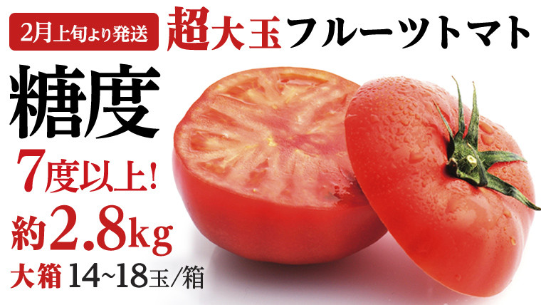 
            《 2026年収穫分 先行予約 》 糖度7度以上 超大玉 フルーツトマト 大箱 約2.8kg × 1箱 (14～18玉/1箱) ブランドトマト 野菜 ギフト 贈答 [BC021sa]
          