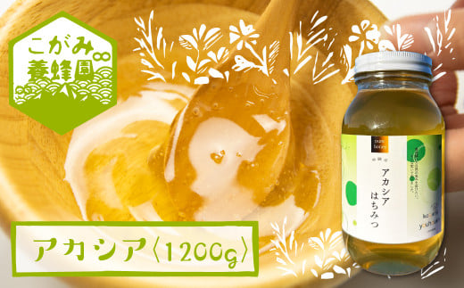 飛騨産 生蜂蜜 アカシア蜜 1200g 国産無添加 はちみつ ギフト ハニー 非加熱