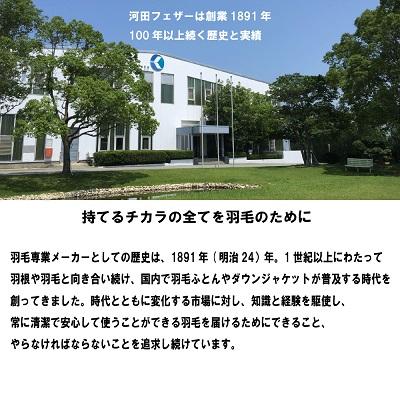 ふるさと納税 明和町 【河田フェザー】 国産 羽根 クッション C-50 |  | 02