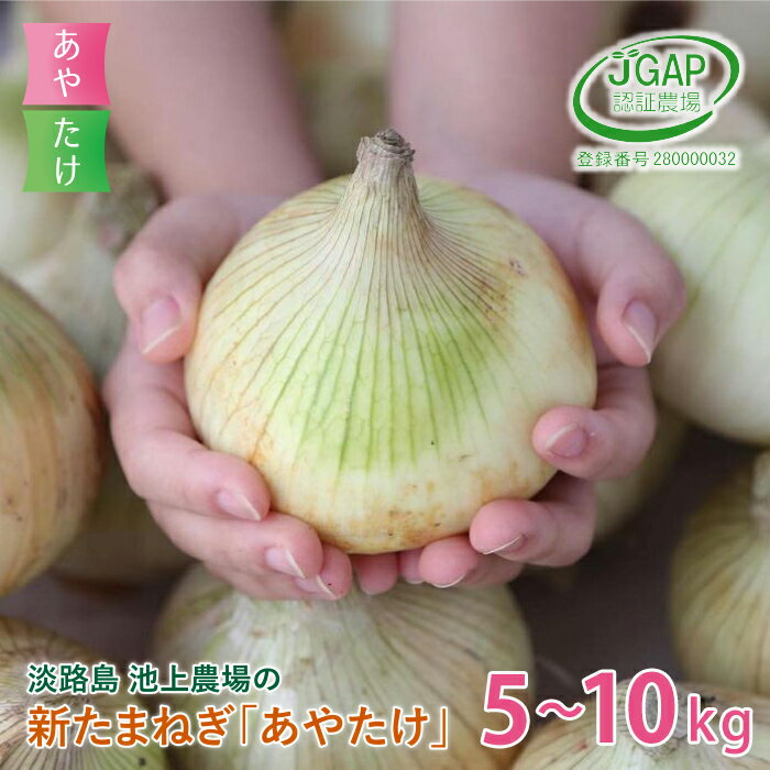 【ふるさと納税】【新たまねぎ】淡路島 池上農場の「あやたけ」5kg～10kg【発送時期：2025年3月下旬～5月頃】 玉ねぎ 玉葱 国産