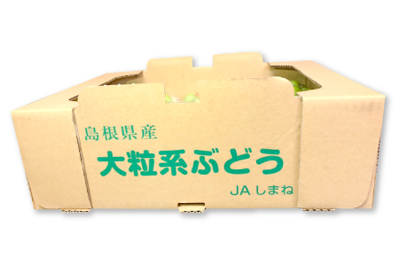 D-524 【先行予約】甘くて美味しい シャインマスカット 5kg（6～12房）【ぶどう 先行予約 ぶどうシャインマスカット シャインマスカット しゃいんますかっと 葡萄 ブドウ マスカット 5.0k