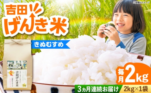 【新米予約】令和8年産 新米 2kg 定期便 3か月 きぬむすめ 吉田げんき米 島根県雲南市産 特A評価実績 お米 定期便 2kg 3回 計6kg 米 おこめ コメ 白米 精米 国産 きぬ娘 新米定期便 米定期便 2キロ 【10月発送開始】 [AIDB131-r8]