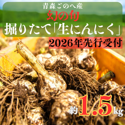 幻の旬!青森ごのへ町産　掘りたて土付き「生」にんにく　Lサイズ以上　約1.5kg【配送不可地域：離島・沖縄県】