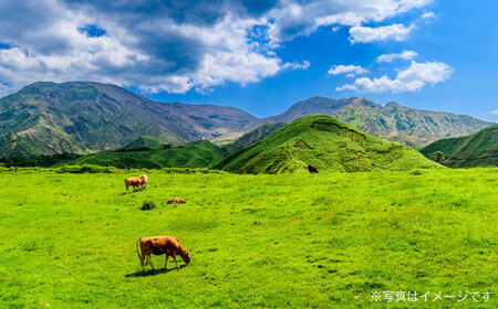 馬肉ユッケ　計約250g　約50g×5パック 小分け　【株式会社 肉の山本】[AYBK003]