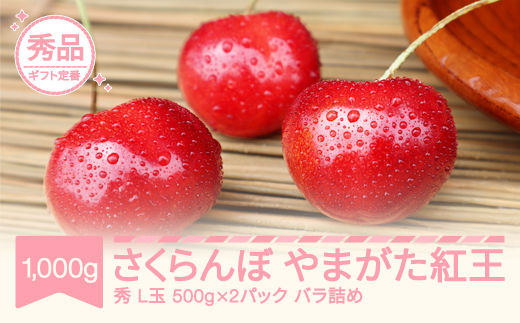 【先行予約】さくらんぼ 秀品 やまがた紅王 500g×2 令和9年産 mm-ybpsx1000