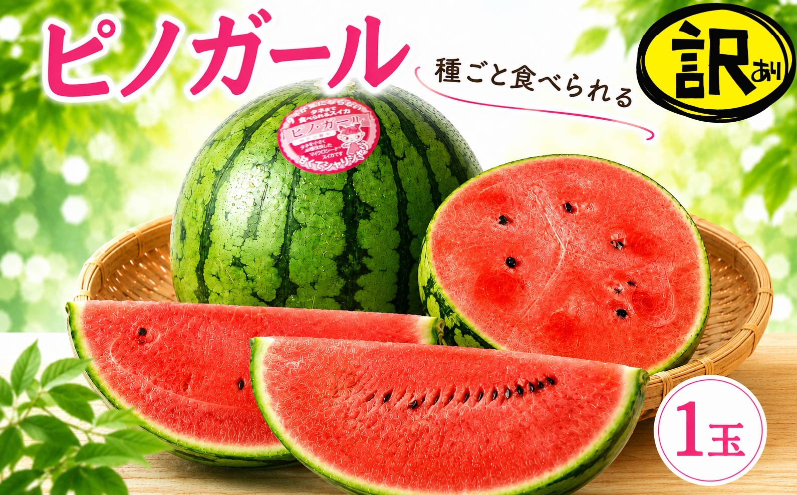 
                  [2027年発送] 訳あり こだますいか  1玉 「 ピノ・ガール 」 2027年産 先行予約 筑西ブランド こだまスイカ 小玉スイカ すいか スイカ フルーツ 果物  ピノガール 西瓜 小玉西瓜 初夏 夏 期間限定 訳アリ 人気 水分 たっぷり 種 小さめ 食べやすい 甘い 茨城 関東 筑西
                