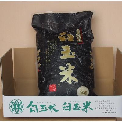 ふるさと納税 糸魚川市 【毎月定期便】新潟県産こしいぶき『臼玉米』5kg全3回 |  | 01