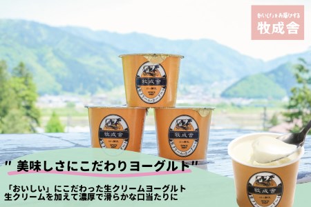 にゃんにゃん乳製品セット 牛乳 飲むヨーグルト 生クリームヨーグルト モッツァレラチーズ 牧成舎 ギフト 福袋 詰め合わせ (SAVE THE CAT HIDA支援)12000円 [neko_j6]