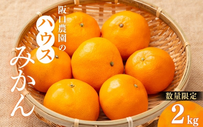 
                  2S～2Ｌサイズ混合 2kg 阪口農園の ハウスみかん（マルチ栽培）【2026年7月中旬から7月末に順次発送予定】 / みかん 蜜柑 先行予約 数量限定 ミカン ハウス 温室【msa006】
                
