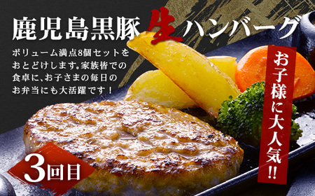 ≪全3回≫ 鹿児島県産 黒豚三昧 定期便 ♪ ＜ 黒豚味噌漬け 生姜焼き 生ハンバーグ ＞ ★☆＼＼ 黒豚ロース味噌漬け バナナマンの早起きせっかくグルメで紹介されました！！／／☆★ 南州農場 かごし