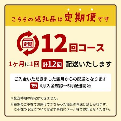 ふるさと納税 石垣市 【12カ月定期便】ジンジャーシロップ3本セット飲み比べ 12ヶ月 定期便 |  | 03