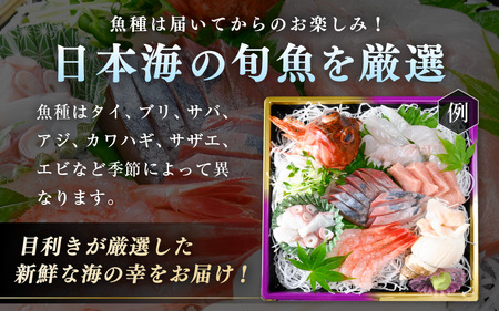 【［1］2024年2月以降 順次発送 】【先行予約】 お楽しみ! 海鮮 お刺身 たけ庄盛り合わせセット（4～5人前） [B-1605_01] 