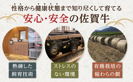 【訳あり】佐賀牛 A5スライスセット1kg HAD149 牛肉スライス