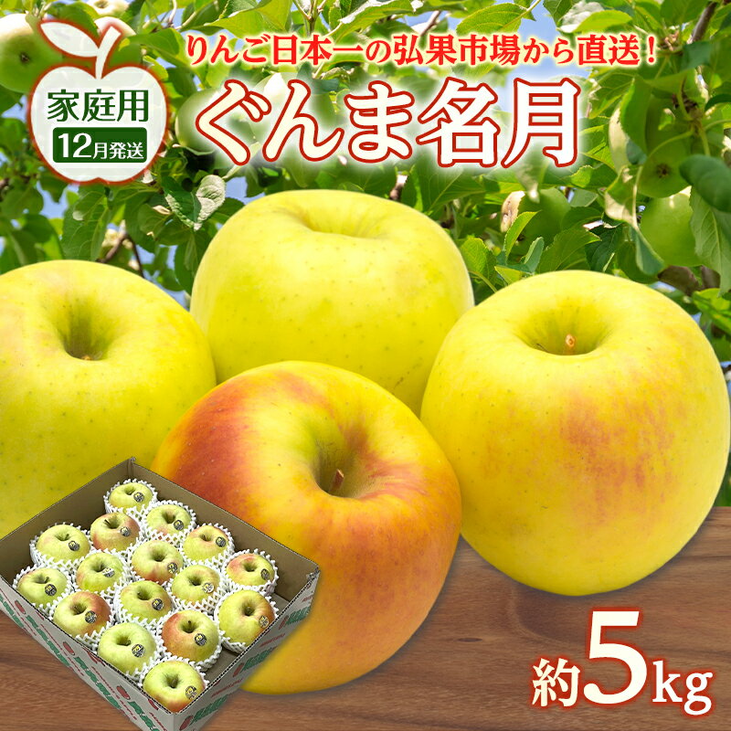 【ふるさと納税】りんご 【 12月発送 】 家庭用 ぐんま名月 約 5kg　リンゴ 林檎 青森りんご 糖度 13度 甘い 酸味 デザート フルーツ 果物 お取り寄せ 産地直送 旬 季節限定 弘果物流 青森県 西目屋村 西目屋村産　お届け：2026年12月中
