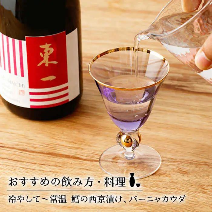 【定期便】 日本酒 東一 純米大吟醸酒 NBQ102 日本酒 全6回