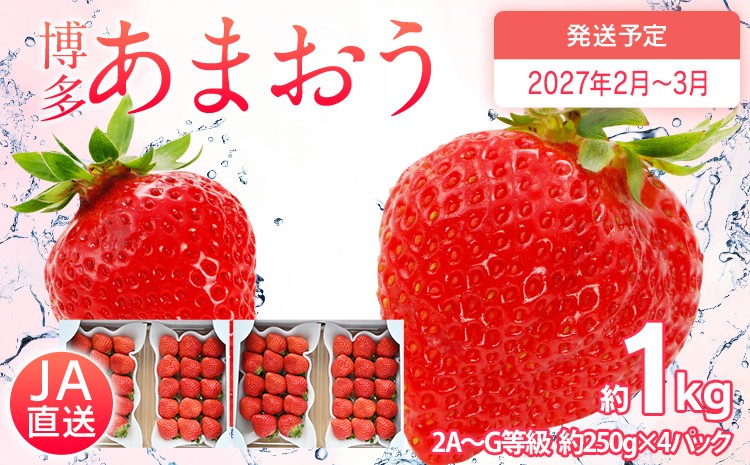 
                  先行予約 あまおう 合計約1kg 約250g×4パック 福岡県産 九州 イチゴ いちご 苺 果物 くだもの フルーツ 送料無料 【2027年2月～3月順次発送予定】
                