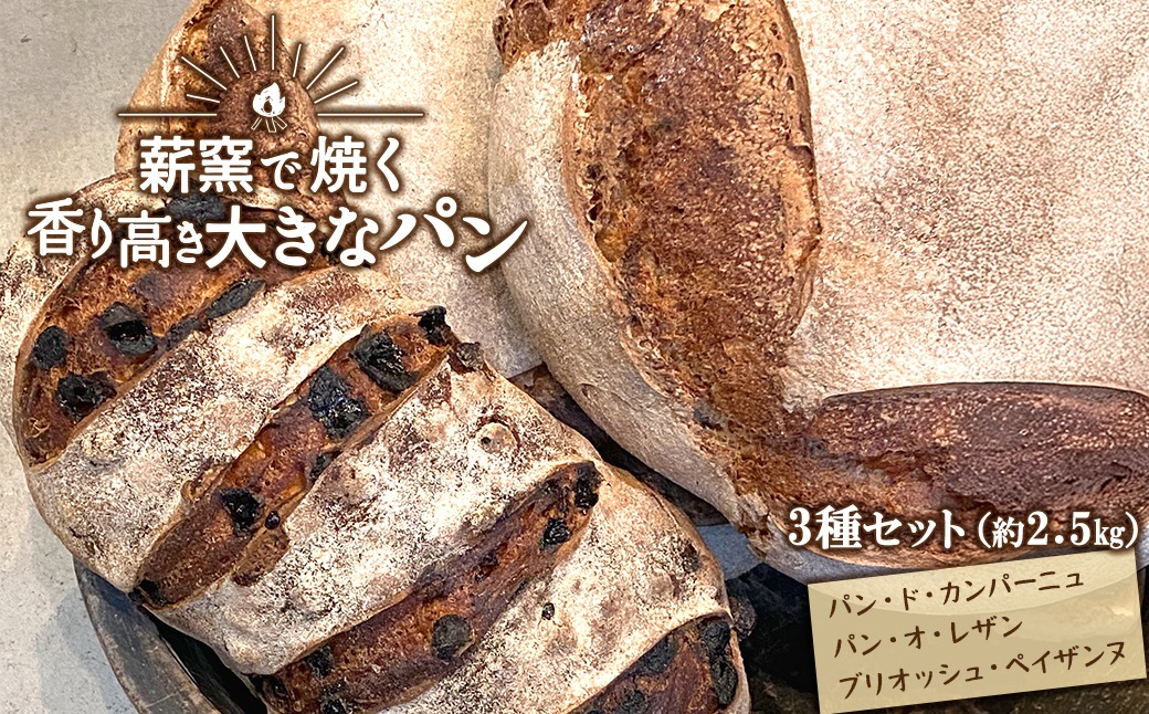 【薪窯焼き】香り高い大きなパン 3種セット (カンパーニュ・レザン・ブリオッシュ) ハード系パン レーズン パン セット K2686