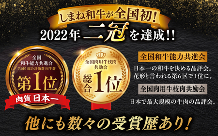 二度の内閣総理大臣賞受賞！【しまね和牛100％】お肉屋さんの手作りハンバーグ120g　冷凍8個入り 島根県松江市/有限会社神戸屋[ALGF005]