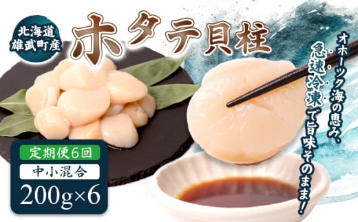 【定期便6回】　北海道雄武町産ほたて貝柱 中小混合 200g×6 (冷凍) 使い切りパック | ふるさと納税 北海道 雄武 ホタテ 帆立 ほたて 小粒 中粒 大粒 200g×6 7.2kg 冷凍 オホーツク オホーツク産 刺身 魚貝 魚介 海鮮 海産 海産物 魚介類 お取り寄せ ワンストップ マイページ 雄武漁業協同組合【07145】