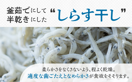 しらす 2種セット 釜揚げしらす480g(240g×2）しらす干し210ｇ / 小分け 便利 おつまみ 酒の肴 ごはんのお供 しらす丼 愛知県 田原市 渥美半島のしらす