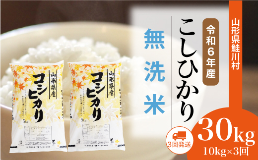 ＜令和6年産米＞ 令和7年7月中旬より配送開始 コシヒカリ【無洗米】30kg定期便 (10kg×3回)　鮭川村