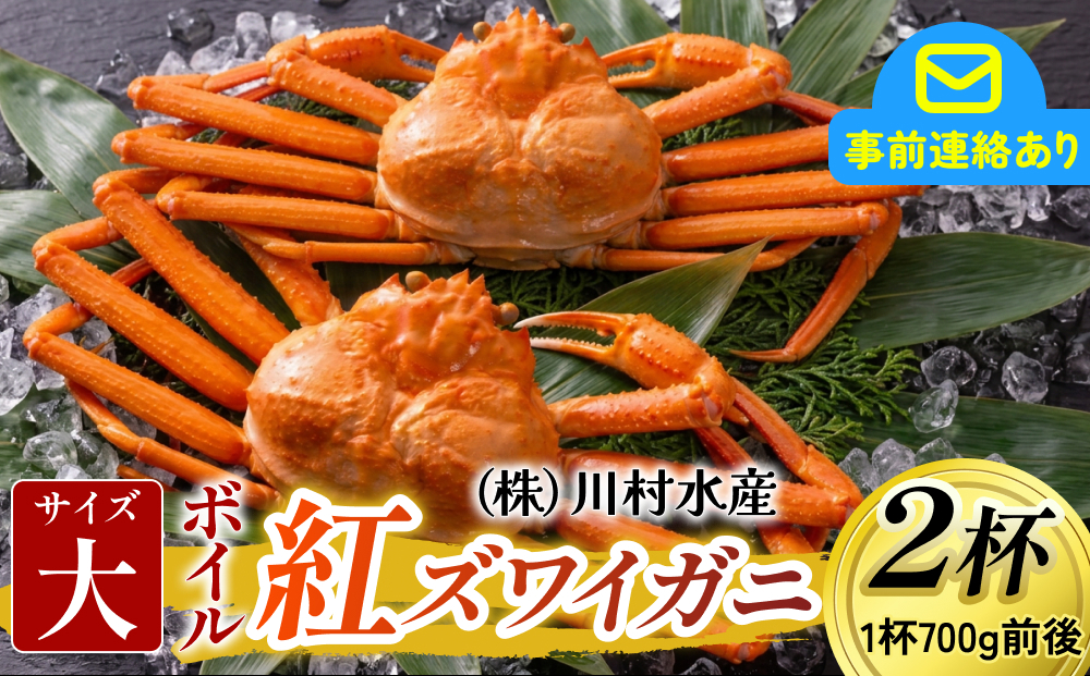 【先行予約】ボイル紅ズワイガニ 大サイズ 冷蔵配送 【26年度10月以降順次配送】川村水産【ゆで蟹 焼きがに 紅ズワイガニ カニ ズワイガニ 紅ずわいがに かに  冷蔵 北陸 】