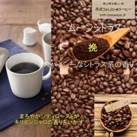 丹沢フォレスト甘味焙煎珈琲豆(挽) 5種_飲料・ドリンク 粉 コーヒー・コーヒー豆 珈琲 珈琲豆_【1551014】