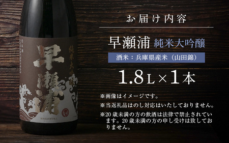 早瀬浦 限定品【数量限定】冷温熟成 早瀬浦 純米大吟醸 1800ml（熟成酒）【入手困難 日本酒 福井 おすすめ 地酒 美浜 早瀬 フルーティ 男酒 硬水 ミネラル 希少 ギフト プレゼント 贈答 山