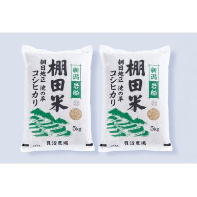 ふるさと納税 村上市 【令和7年産米】新潟県岩船産　棚田米コシヒカリ玄米 10kg AB4041