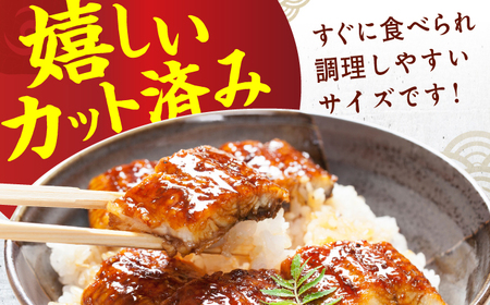 【3回定期便】刻み鰻個食パック 計1kg（100g×10P） / うなぎ 鰻 ウナギ きざみウナギ 刻み鰻 うなぎ ウナギ 鰻[AFBS002] うなぎ ウナギ うなぎ 鰻