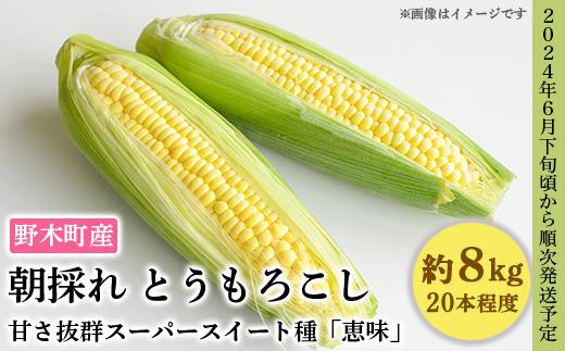 
C07とうもろこし 約8kg 恵味 20本入り 朝採れ クール便 野木町産 【2024年6月下旬頃から順次発送予定】
