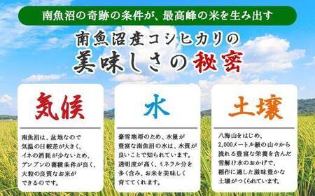 【令和6年産】【無地熨斗】新潟県 南魚沼産 コシヒカリ お米 5kg 精米済み （お米の美味しい炊き方ガイド付き）