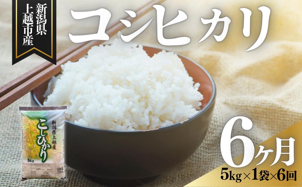 【2月上旬より配送】上越市産 新潟 コシヒカリ 5kg 6か月定
