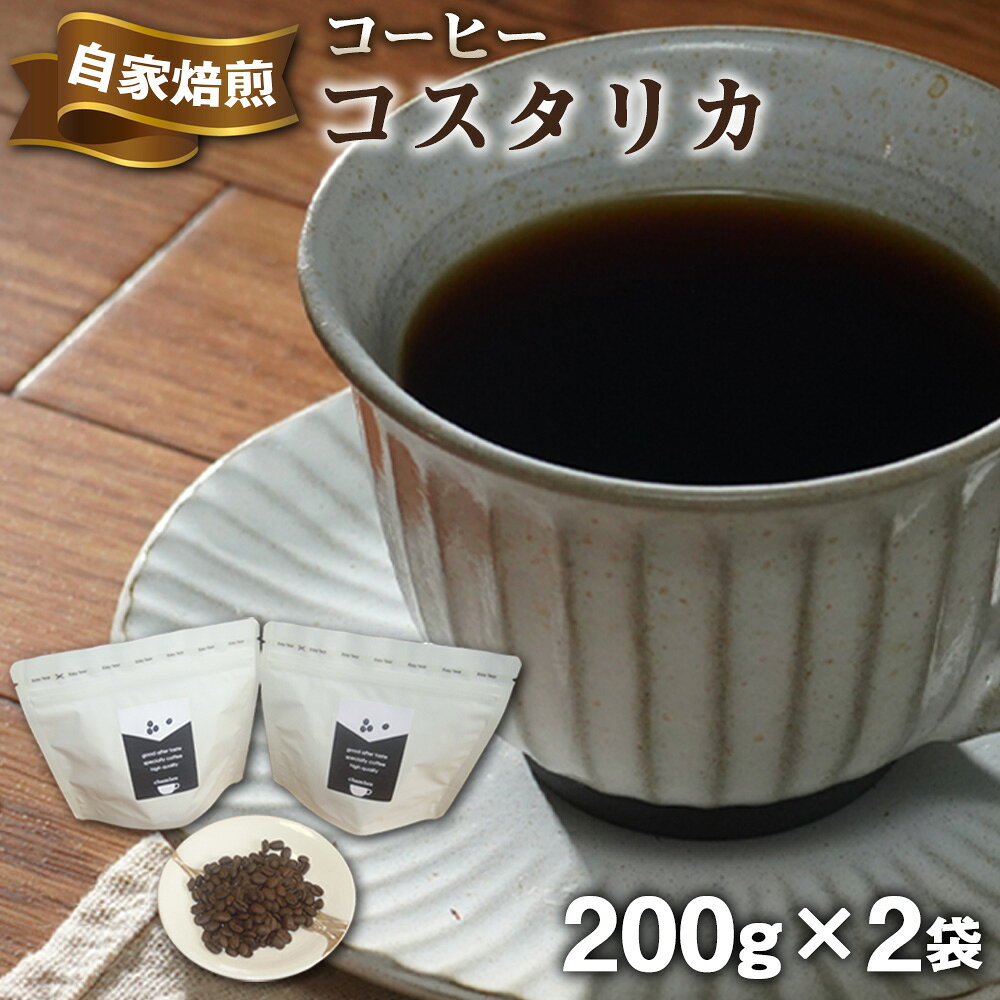【ふるさと納税】No.499 Shambre 自家焙煎コーヒー コスタリカ ／ 珈琲 豆 バリスタ厳選 炒りたて スペシャリティコーヒー 手作業 焙煎 こだわり 飲みやすい 送料無料 埼玉県