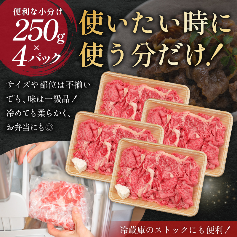 飛騨牛切り落とし（250ｇ×4）【0016-019】_イメージ3